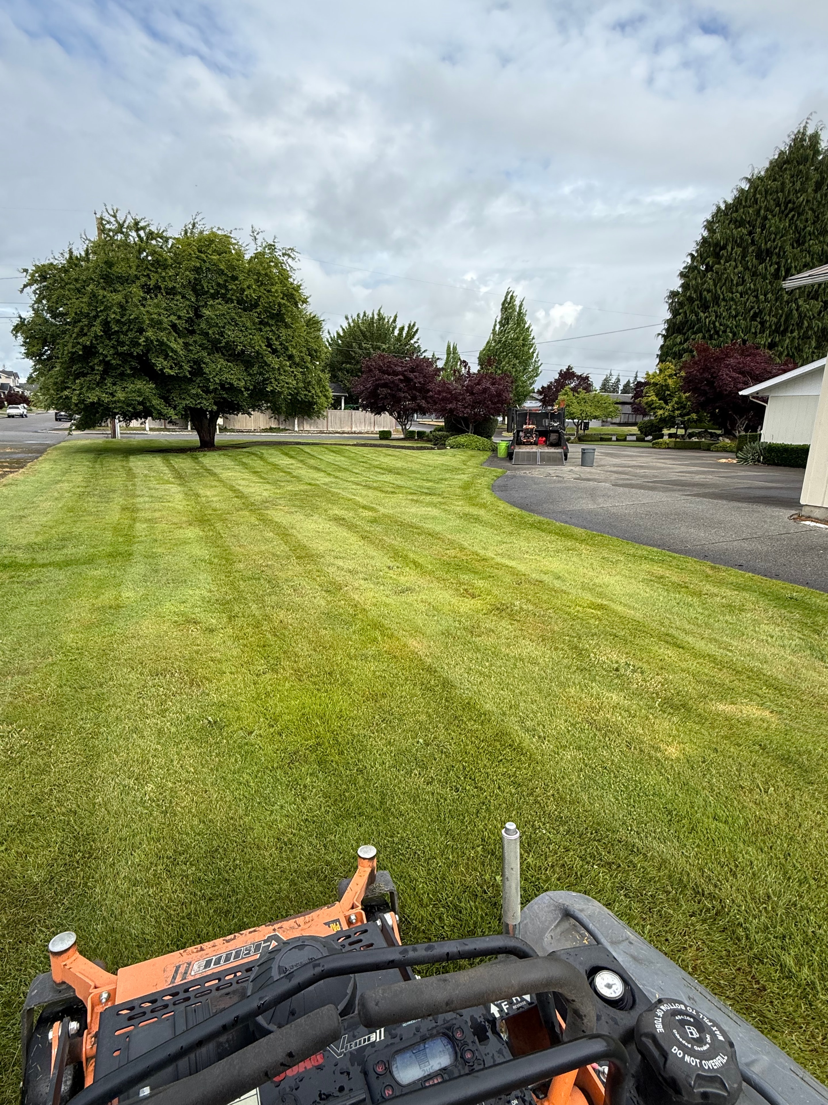 Before and after: Lawn Care