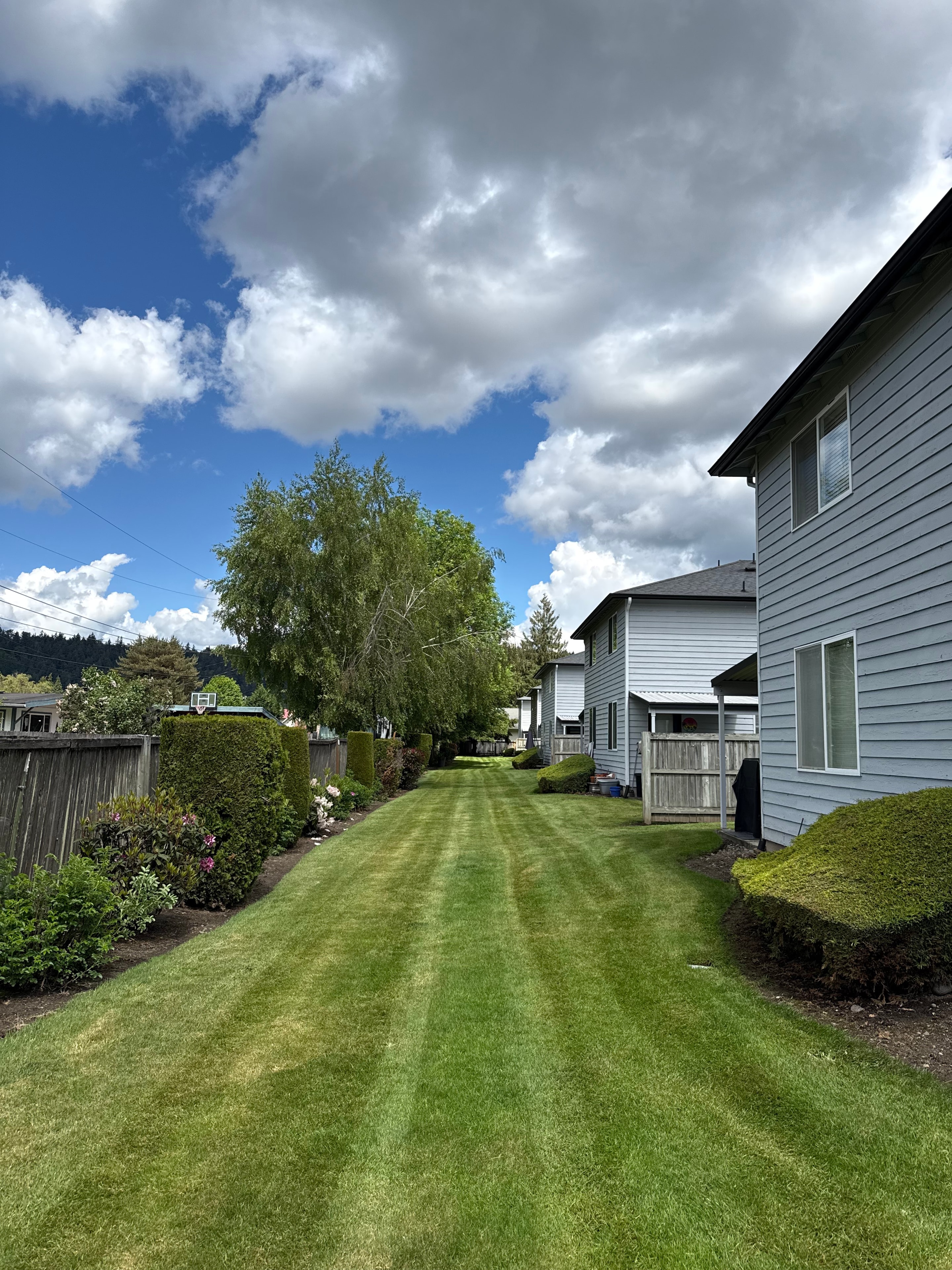 Mowing & Lawn Care